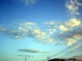 �x�����_����̋�